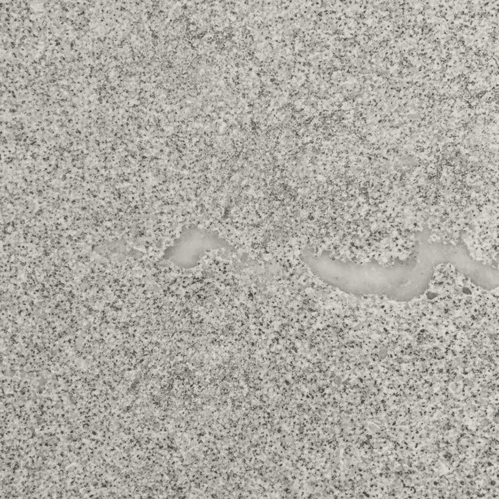 Текстура гранита Восточно-Варламовское