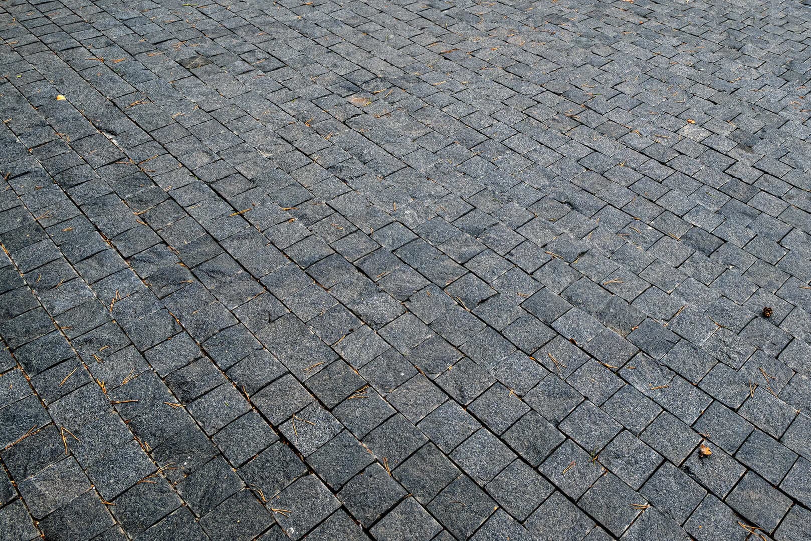 Шале Манжерок - миниатюра 3