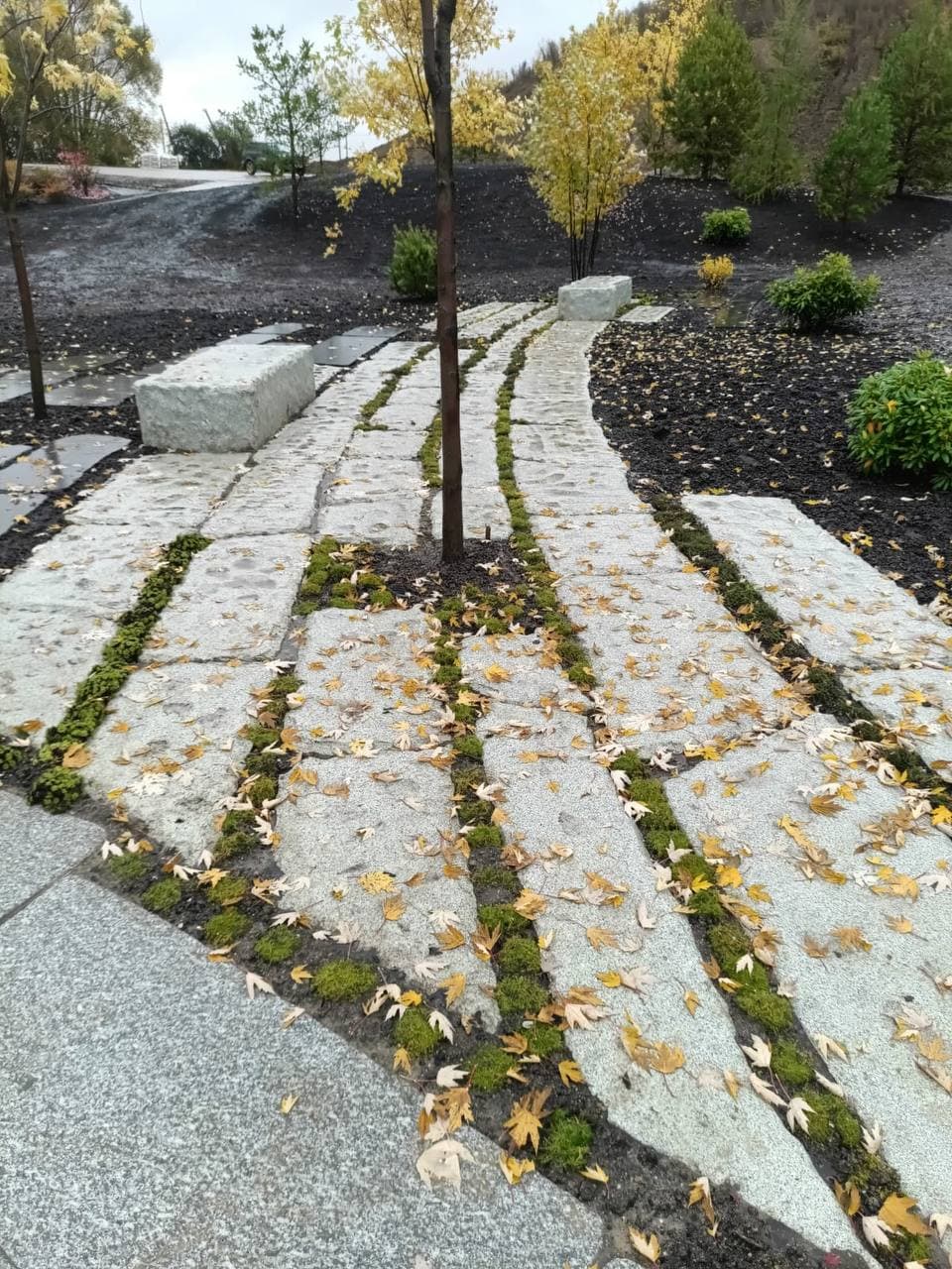 Парк АО «Рублево-Архангельское» - фото 1